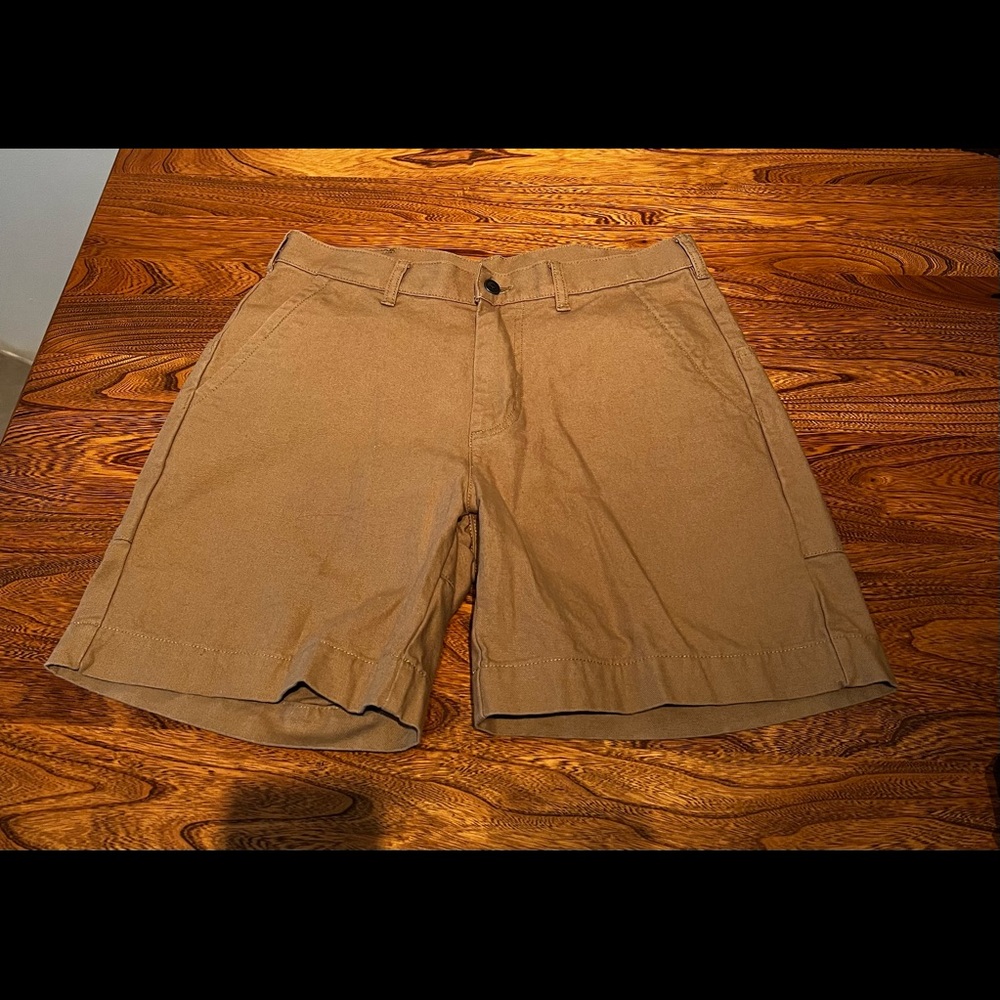 Patagonia Men’s 100% Organic Cotton Shorts